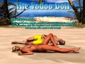 tvd01.jpg